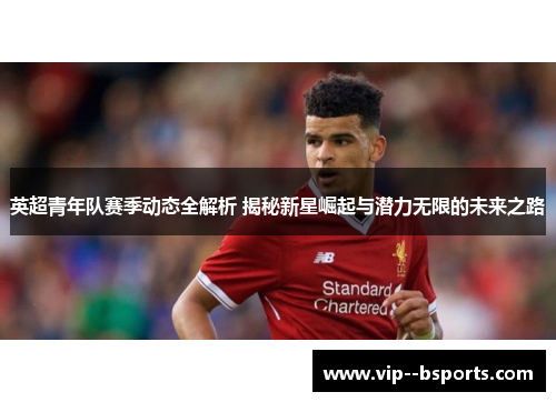 英超青年队赛季动态全解析 揭秘新星崛起与潜力无限的未来之路