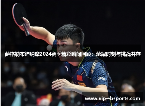 萨格勒布迪纳摩2024赛季精彩瞬间回顾：荣耀时刻与挑战并存