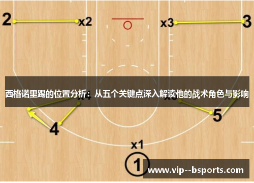 西格诺里踢的位置分析：从五个关键点深入解读他的战术角色与影响